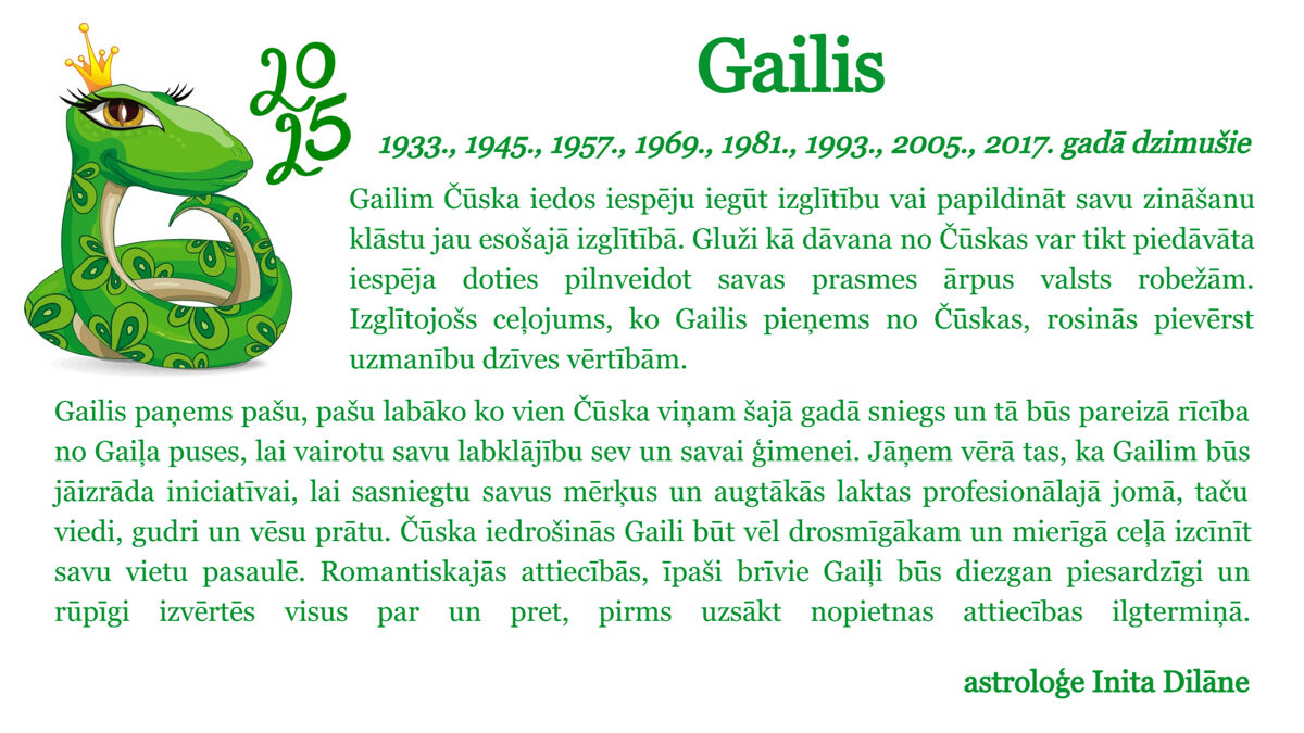 Gailis-3.jpg