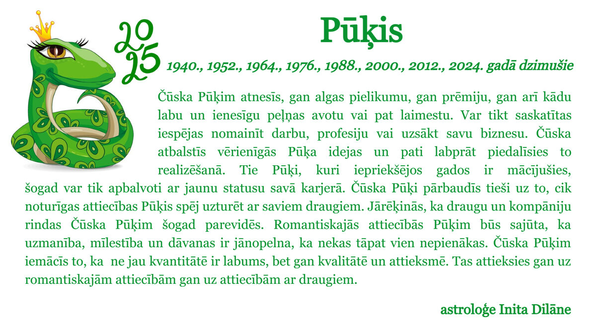 Pukis-4.jpg