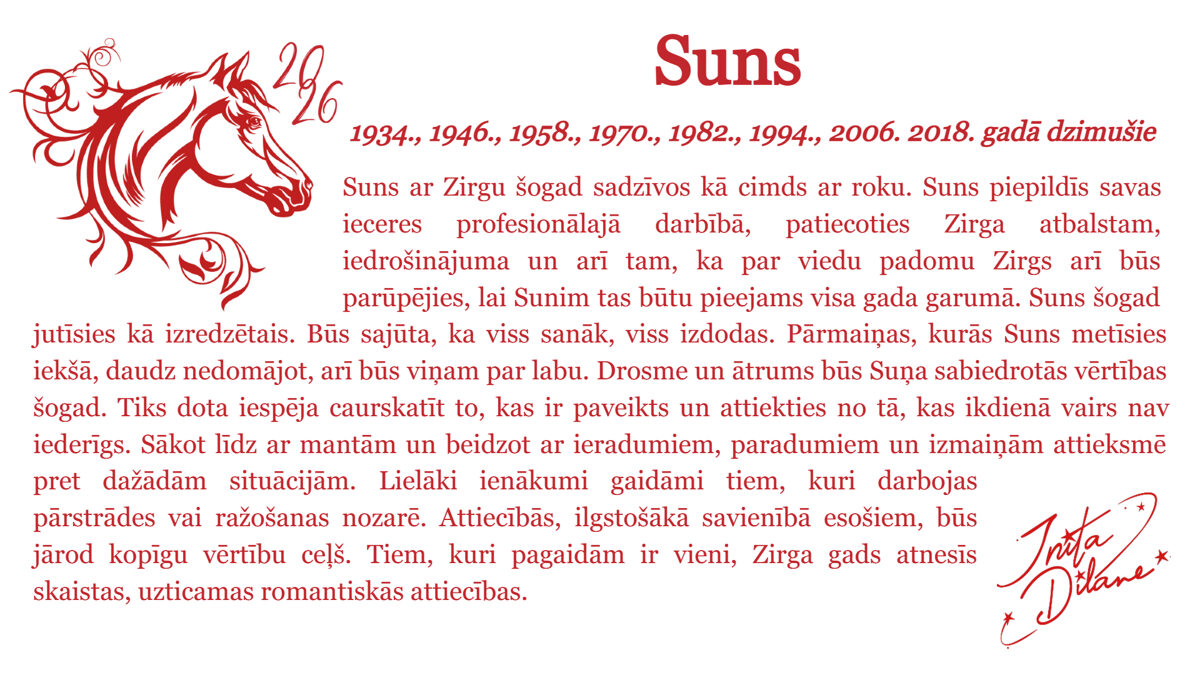 Suns-4.jpg