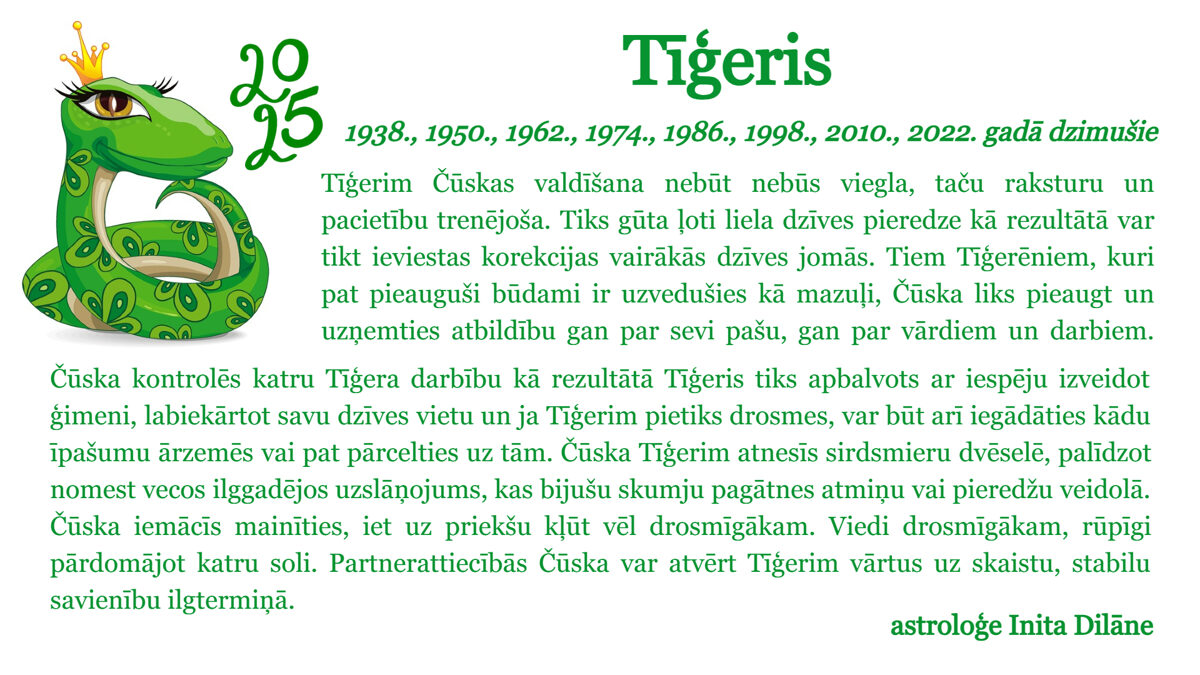 Tigeris-4.jpg