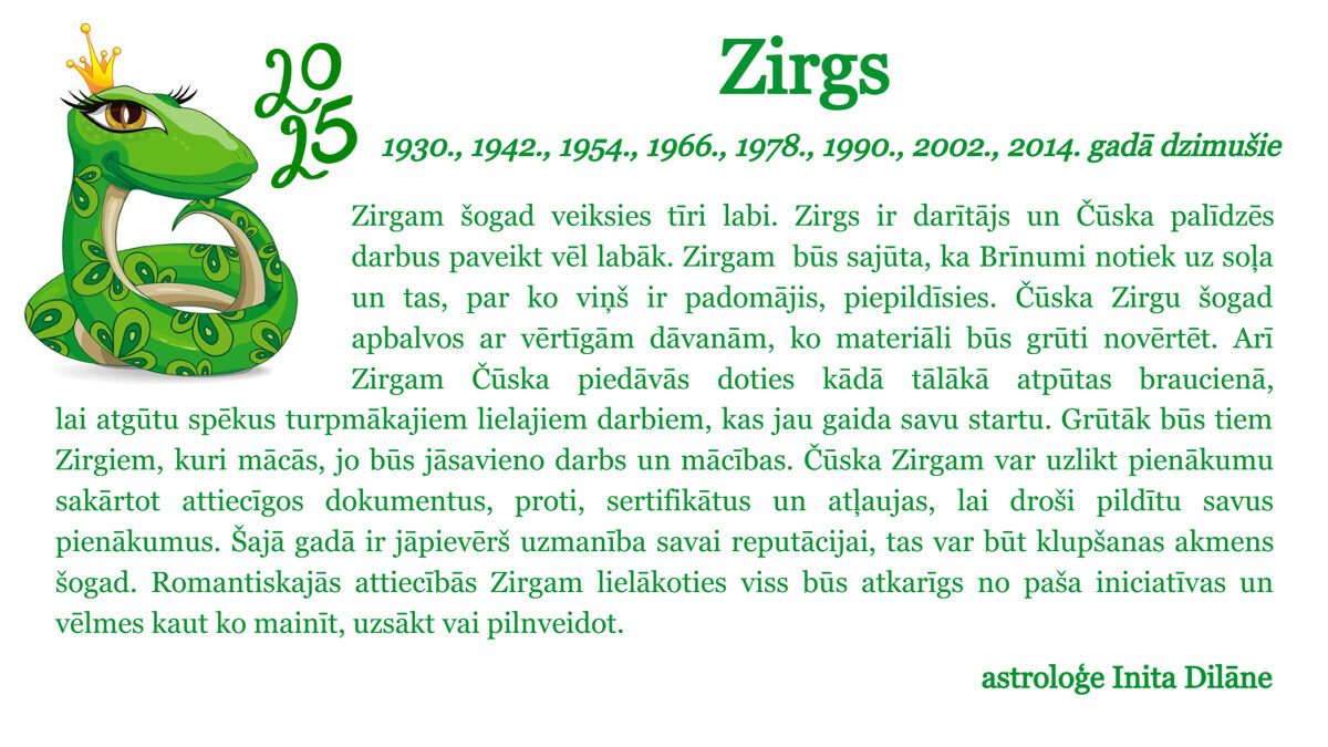 Zirgs-3.jpg