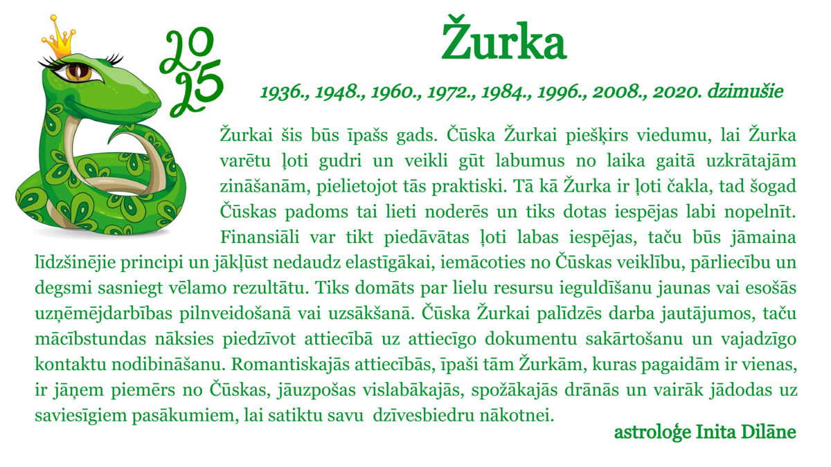 Zurka-6.jpg