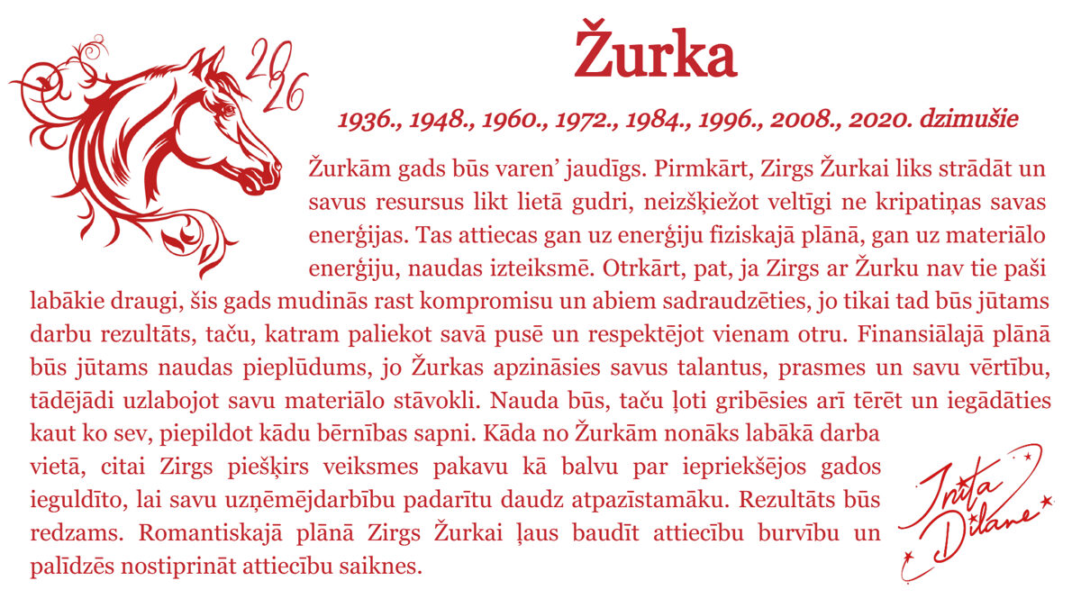 Zurka-7.jpg